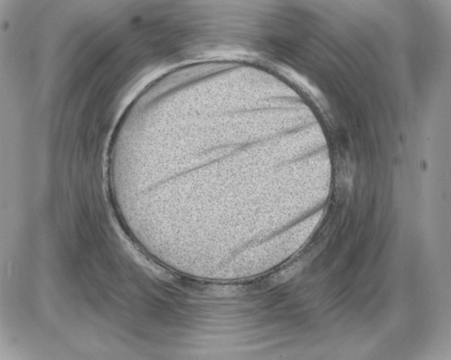 X0000085801423200704131909