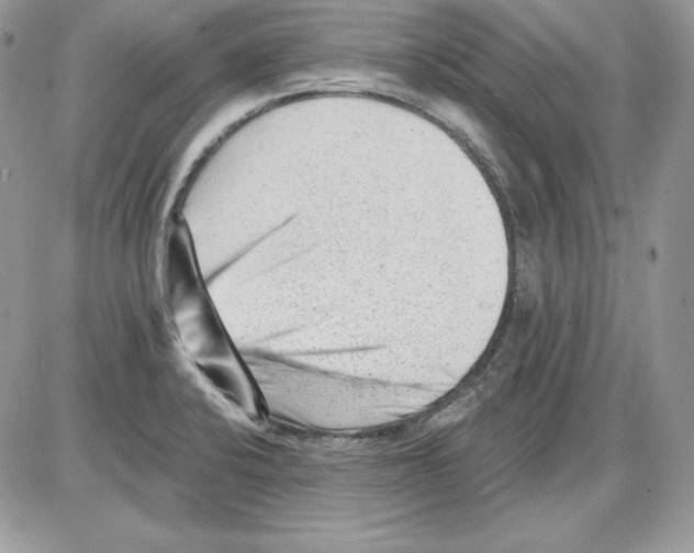 X0000085801424200704131909