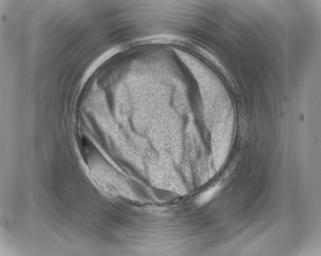 X0000085801426200704131909