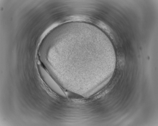 X0000085801427200704131909