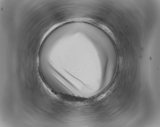 X0000085801428200704131909