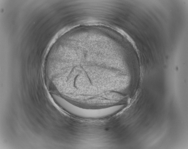 X0000085801429200704131909