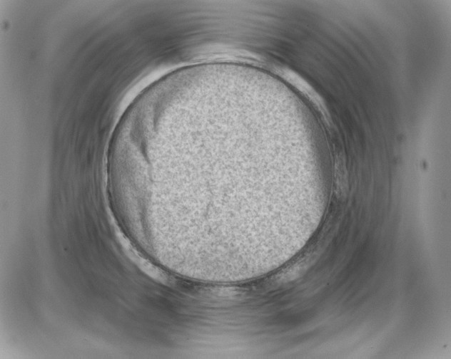 X0000085801431200704131909