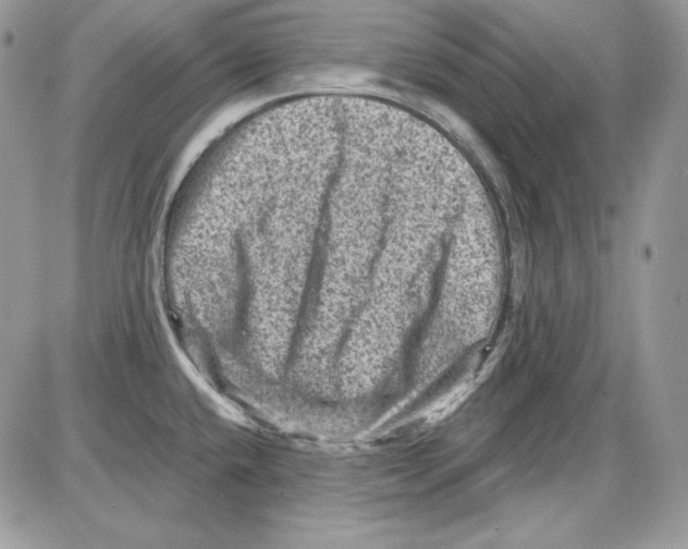 X0000085801432200704131909