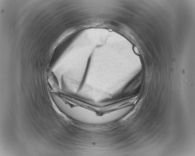 X0000085801433200704131909