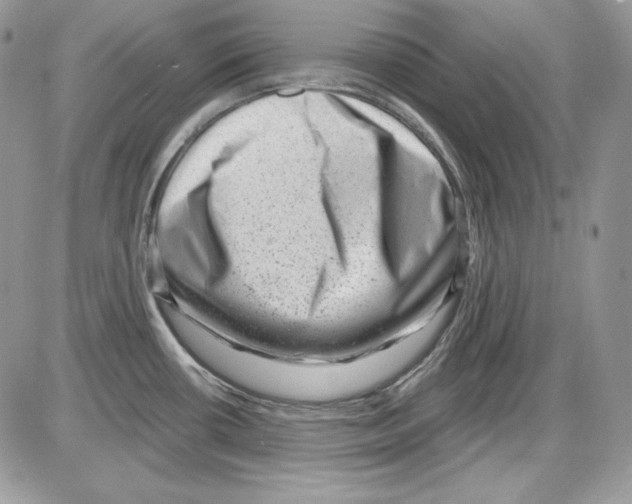 X0000085801434200704131909