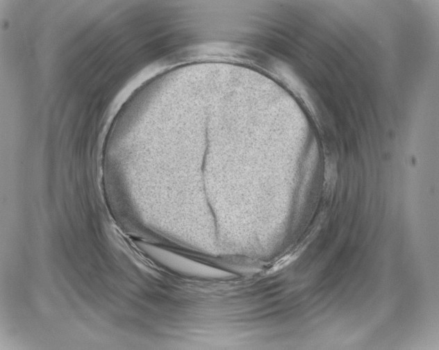 X0000085801435200704131909