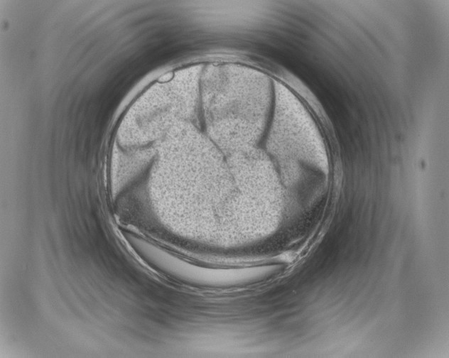 X0000085801436200704131909