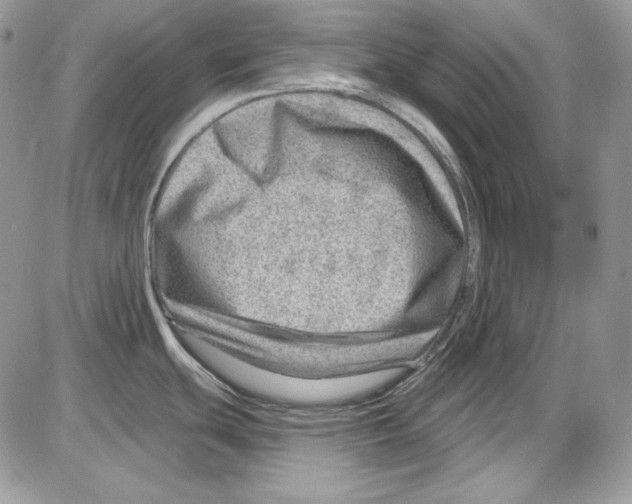 X0000085801439200704131910