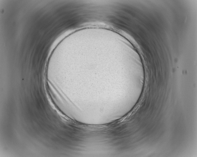 X0000085801440200704131910