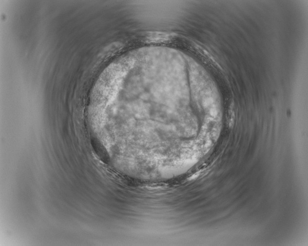 X0000085801441200704131909