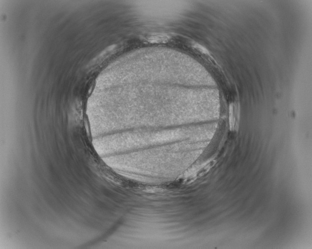 X0000085801443200704131909