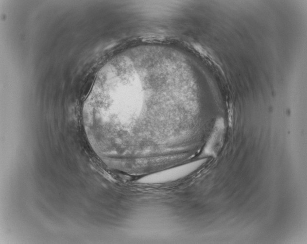 X0000085801445200704131909