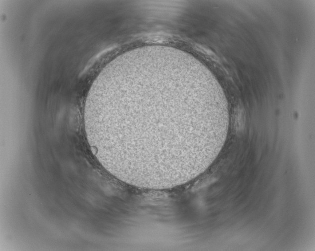 X0000085801446200704131909