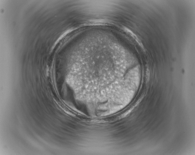 X0000085801449200704131909