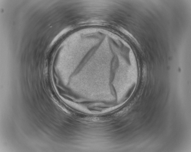 X0000085801450200704131909