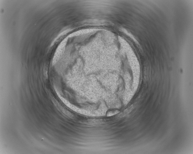 X0000085801451200704131909