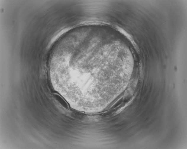 X0000085801453200704131909