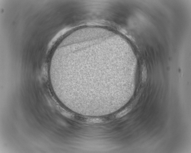 X0000085801454200704131909