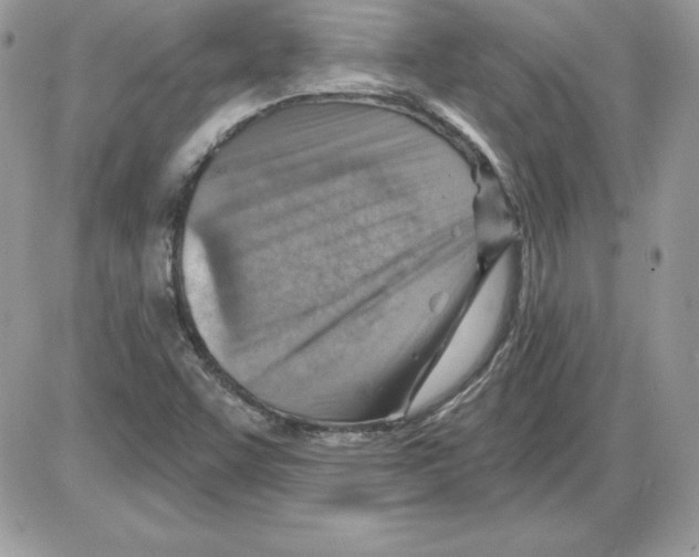 X0000085801455200704131908