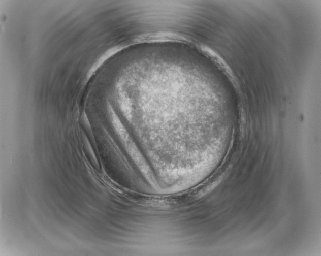 X0000085801457200704131908