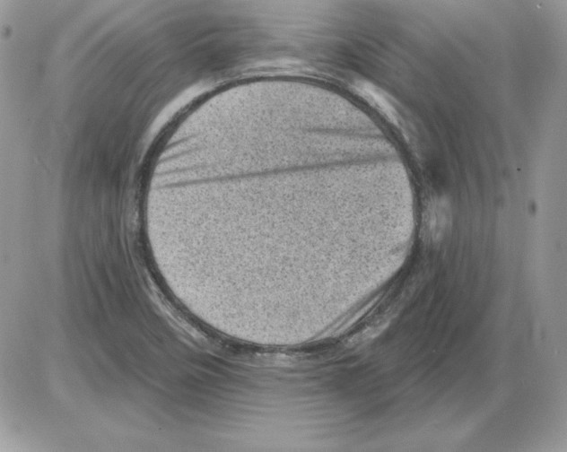 X0000085801458200704131908