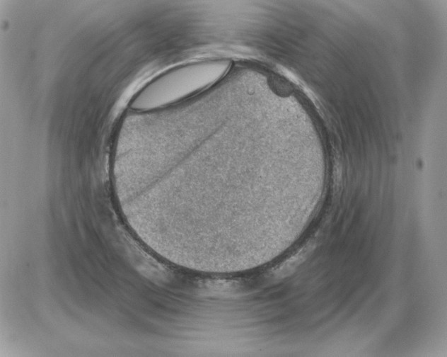 X0000085801459200704131908