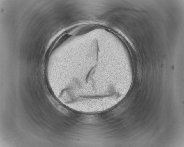 X0000085801460200704131908