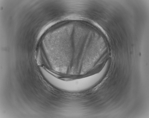 X0000085801461200704131908