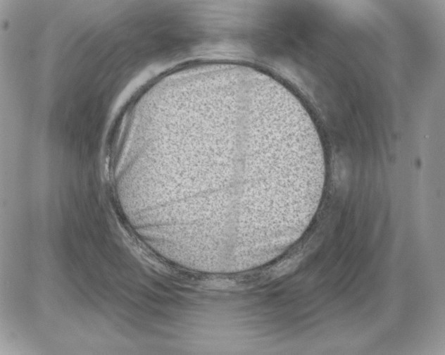 X0000085801462200704131908