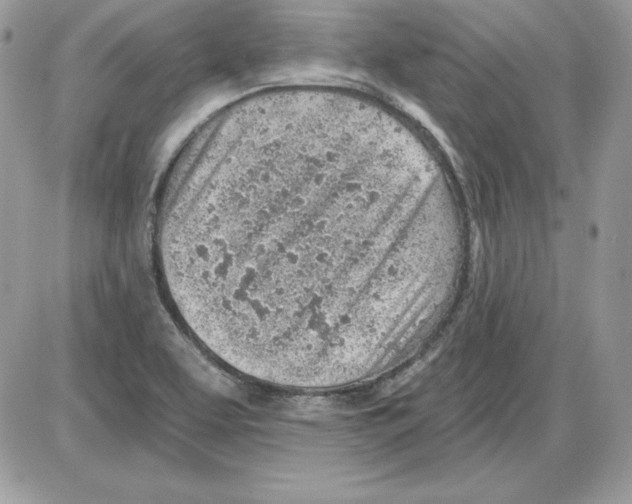 X0000085801463200704131908