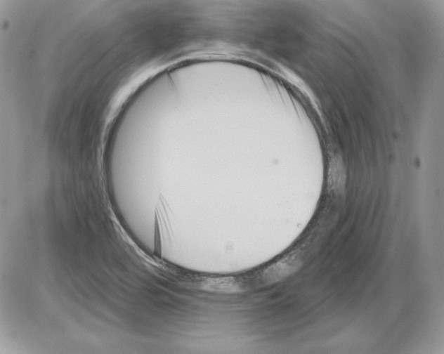 X0000085801464200704131908