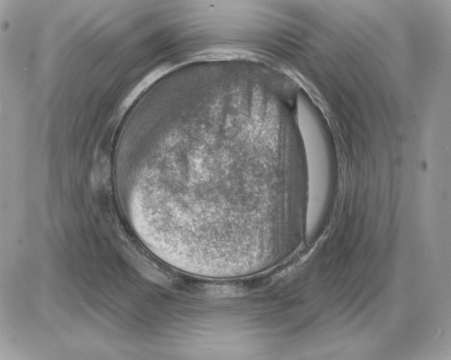 X0000085801465200704131908