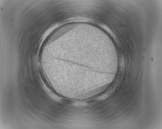 X0000085801466200704131908