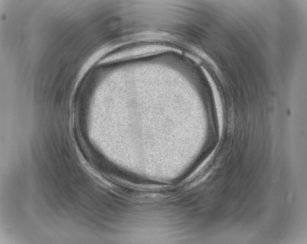 X0000085801467200704131908