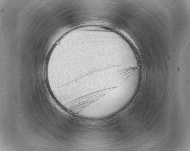 X0000085801468200704131908