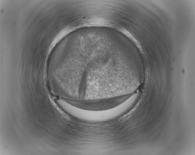 X0000085801469200704131908