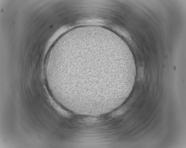 X0000085801470200704131908