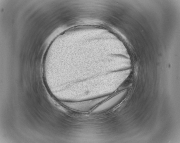 X0000085801471200704131908