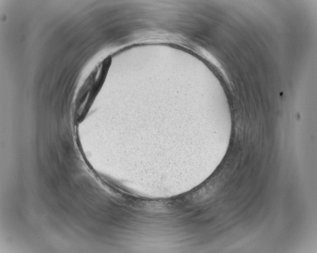 X0000085801472200704131908