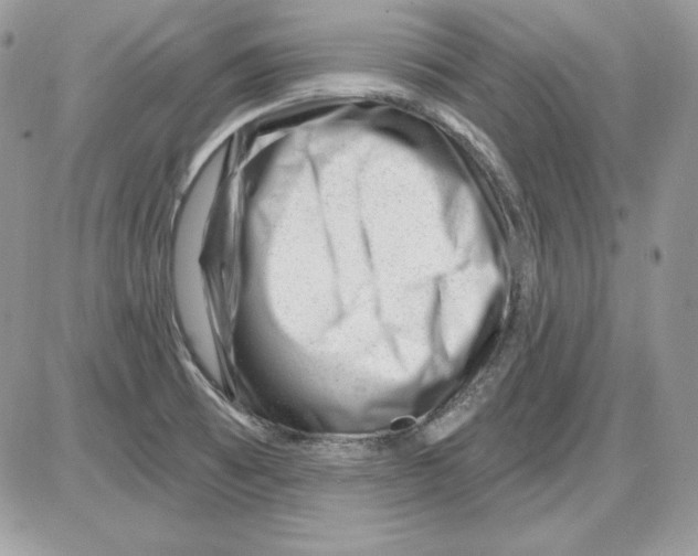 X0000085801473200704131908