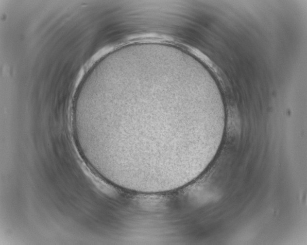 X0000085801474200704131908