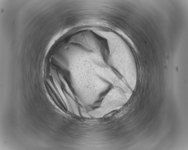 X0000085801477200704131908