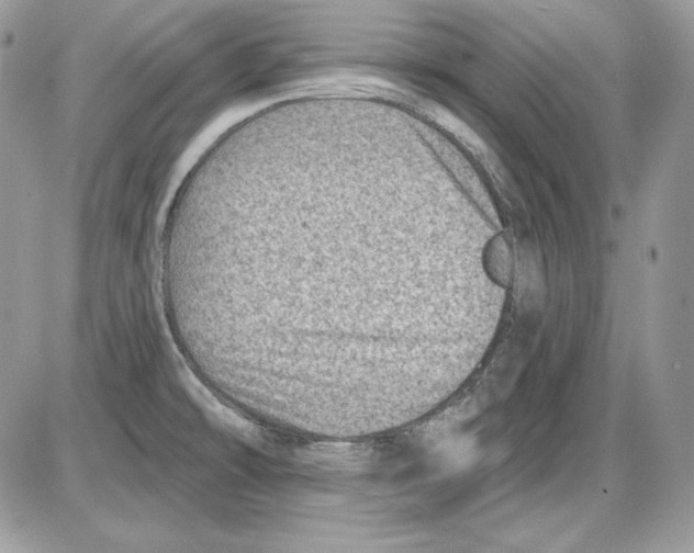 X0000085801478200704131908