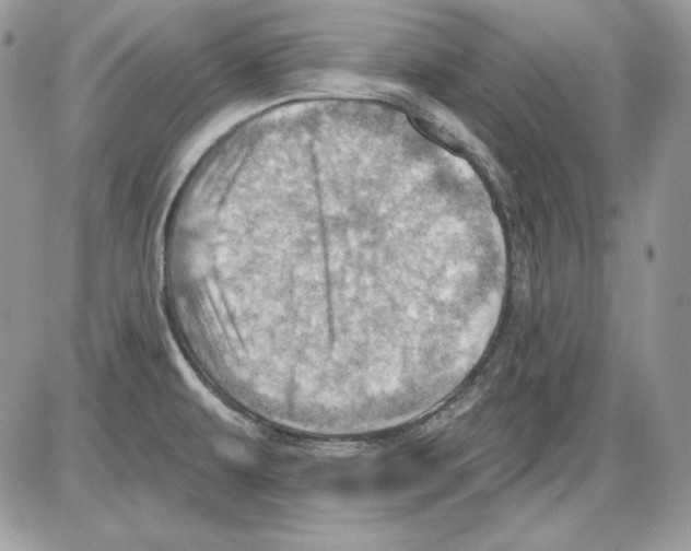 X0000085801479200704131908