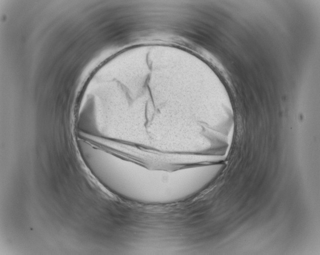 X0000085801480200704131908