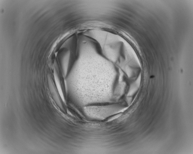 X0000085801481200704131908