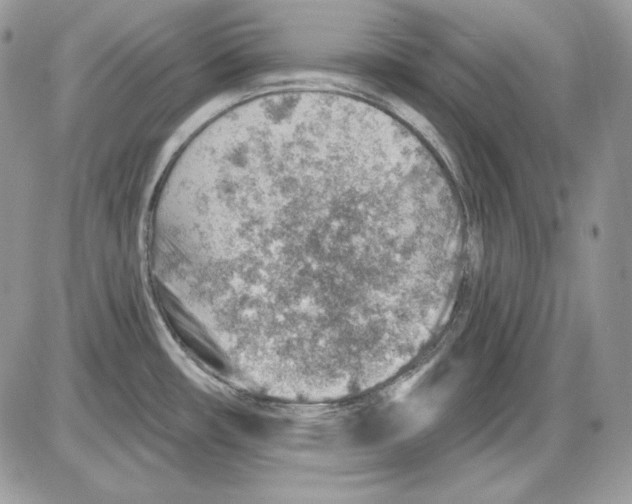 X0000085801482200704131908