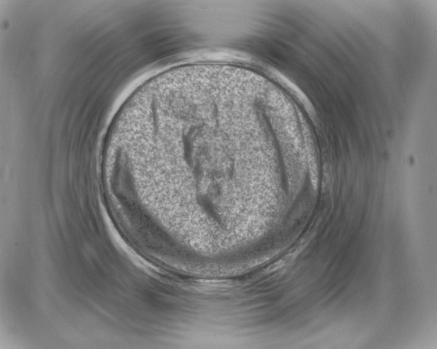 X0000085801483200704131908