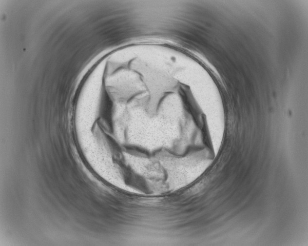 X0000085801484200704131908